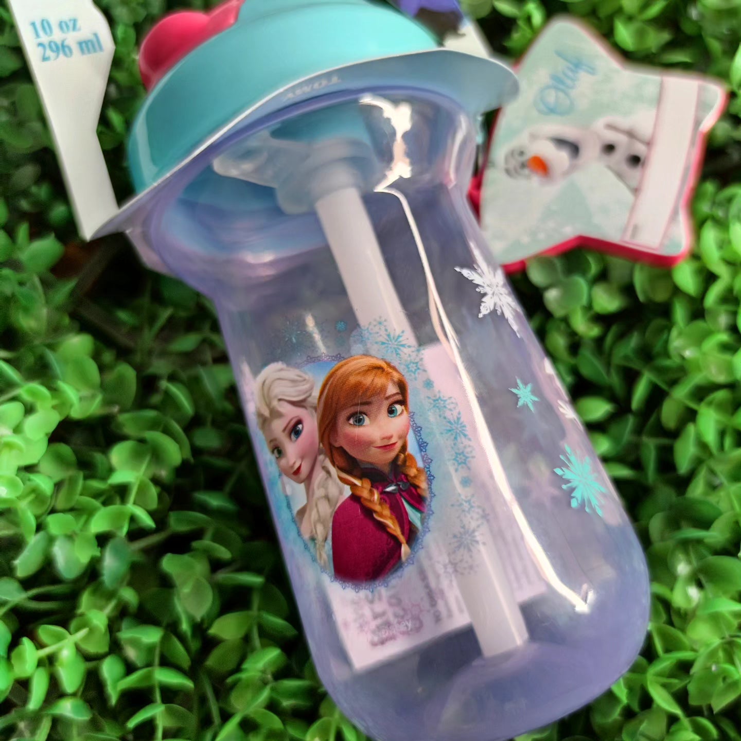 Botella frozen Disney